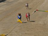 Golden Rabbit European Sandtrack-Derby Th. Ernst (174)